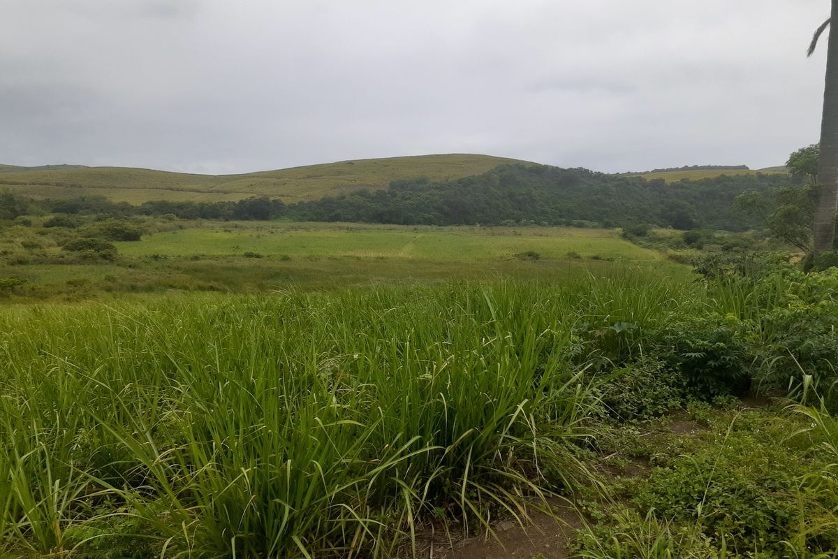 Farm For Sale in Compensation Beach - Photo 2