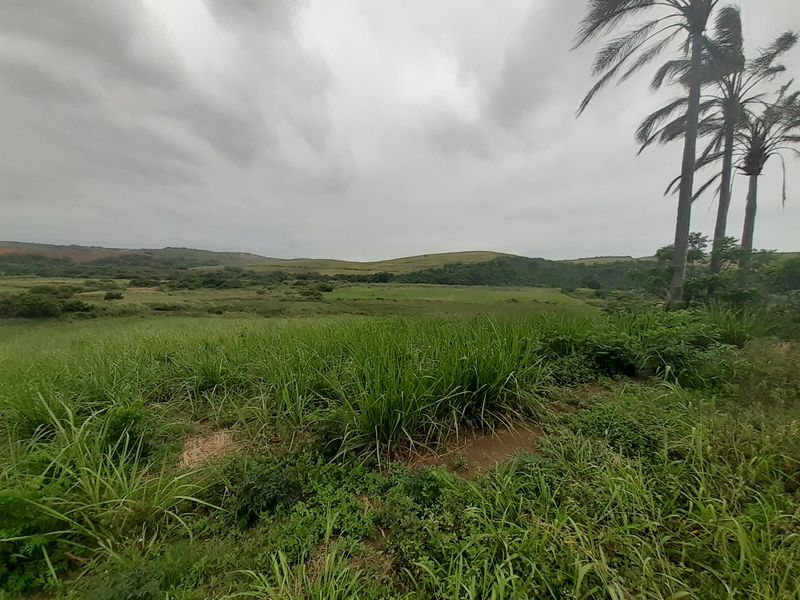 Farm For Sale in Compensation Beach - Photo 6