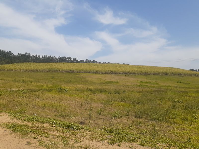 Farm For Sale in Tinley Manor - Photo 2