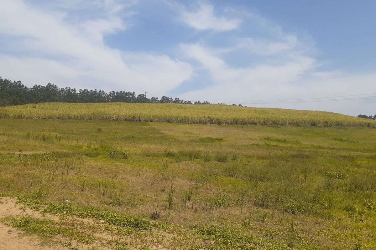 Farm For Sale in Tinley Manor - Photo 2