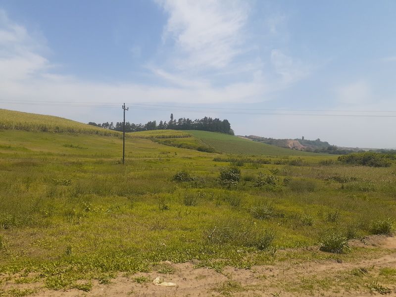 Farm For Sale in Tinley Manor - Photo 4