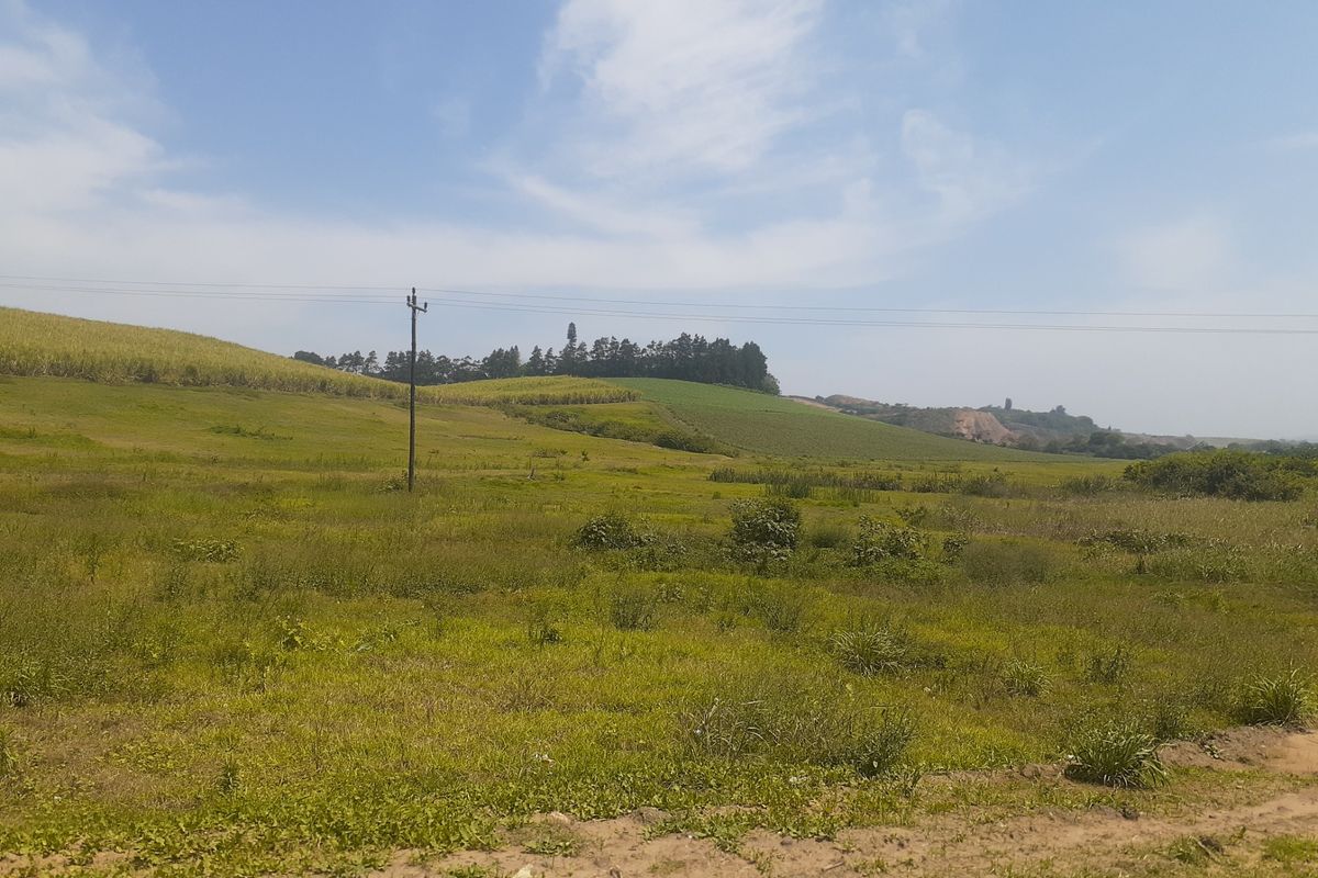 Farm For Sale in Tinley Manor - Photo 4