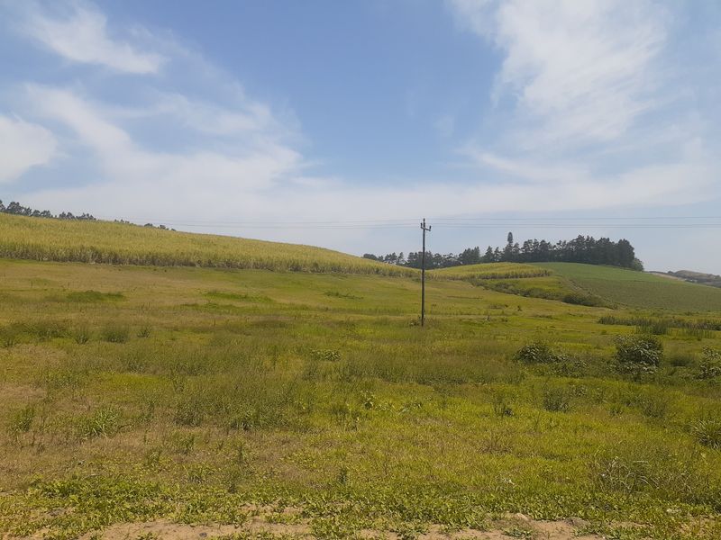 Farm For Sale in Tinley Manor - Photo 3