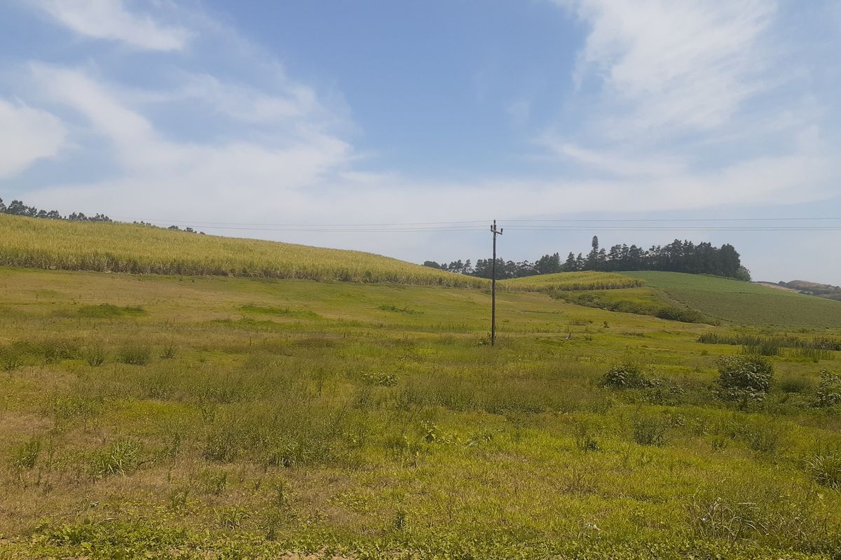 Farm For Sale in Tinley Manor - Photo 3