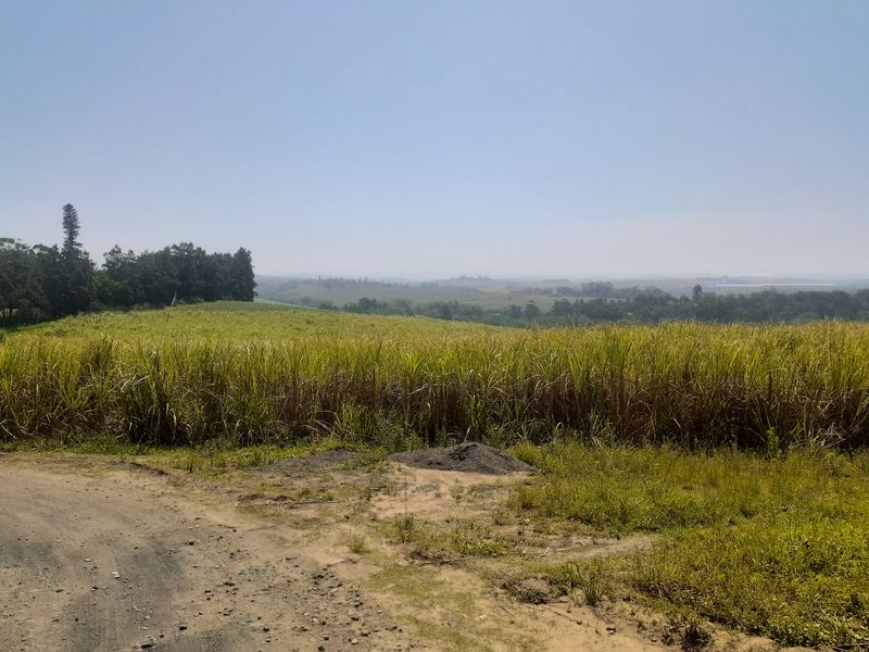 Farm For Sale in Tinley Manor - Photo 5