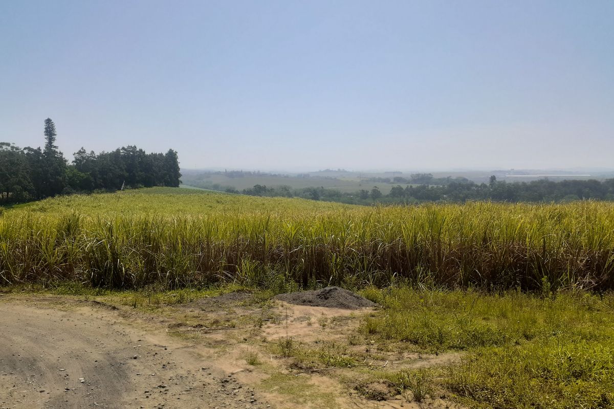 Farm For Sale in Tinley Manor - Photo 5