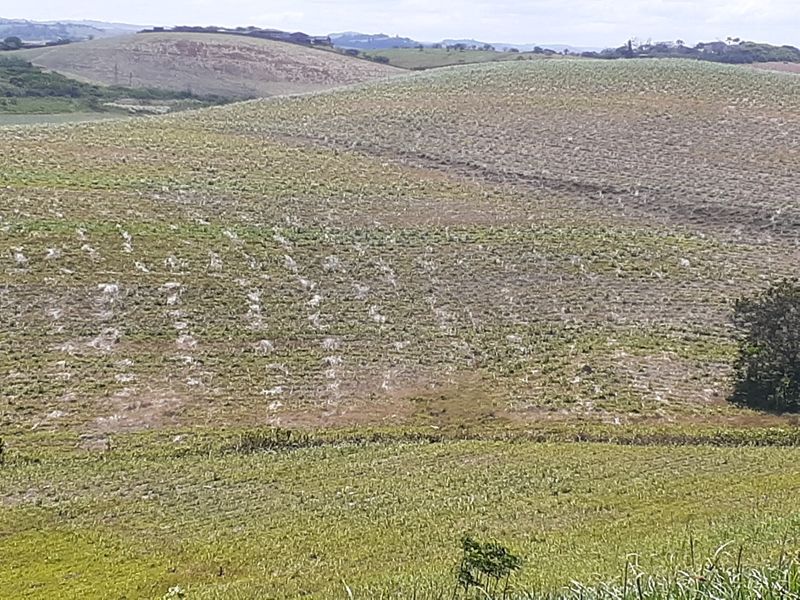 Farm For Sale in Fraser - Photo 2