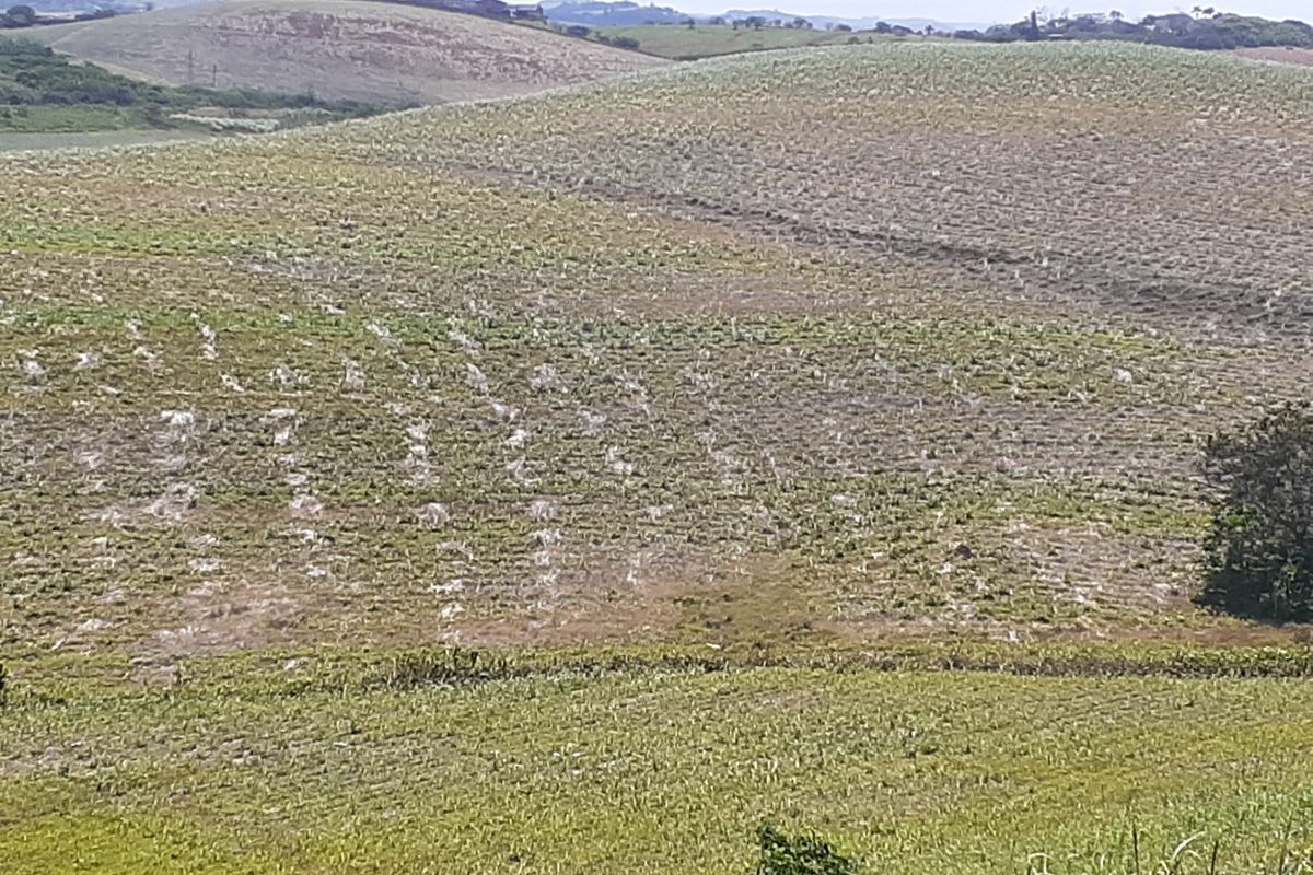 Farm For Sale in Fraser - Photo 2