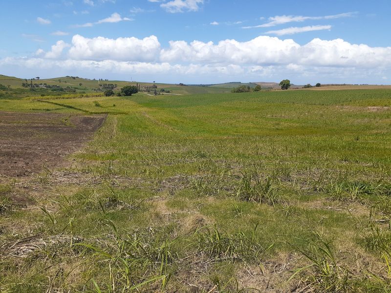 Farm For Sale in Fraser - Photo 9