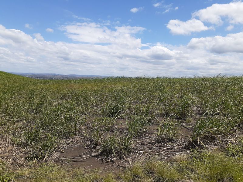 Farm For Sale in Fraser - Photo 8