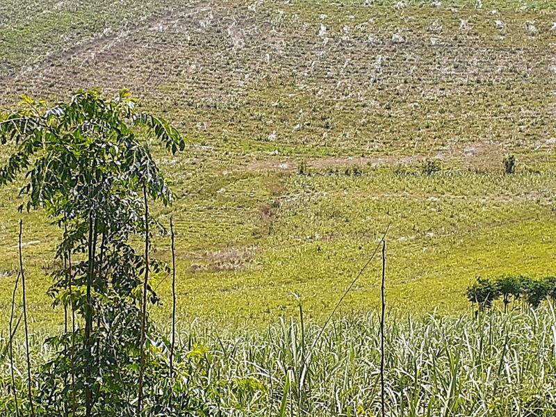 Farm For Sale in Fraser - Photo 7