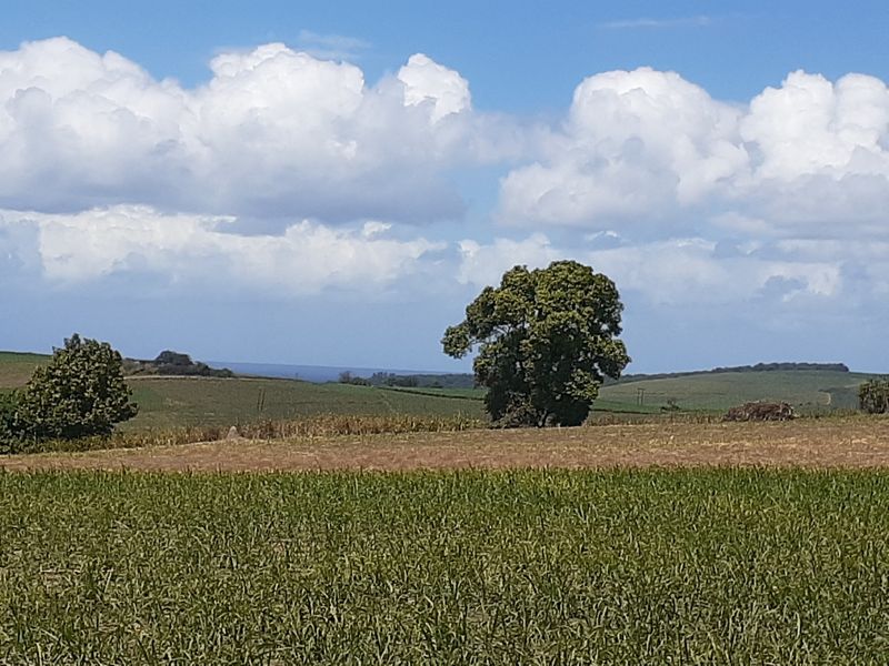 Farm For Sale in Fraser - Photo 6