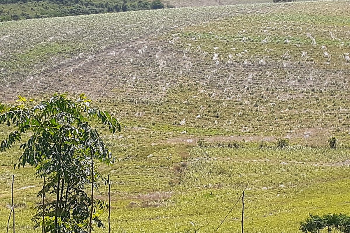 Farm For Sale in Fraser - Photo 3