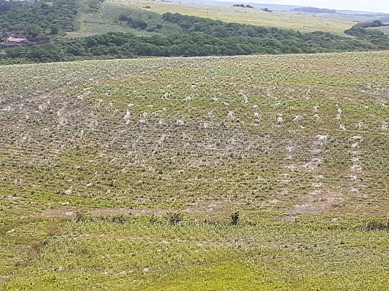 Farm For Sale in Fraser - Photo 10