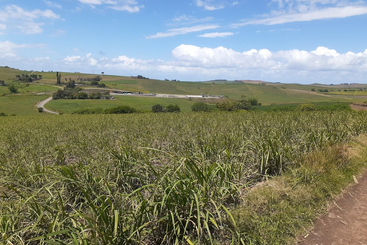 Farm For Sale in Fraser - Photo 3