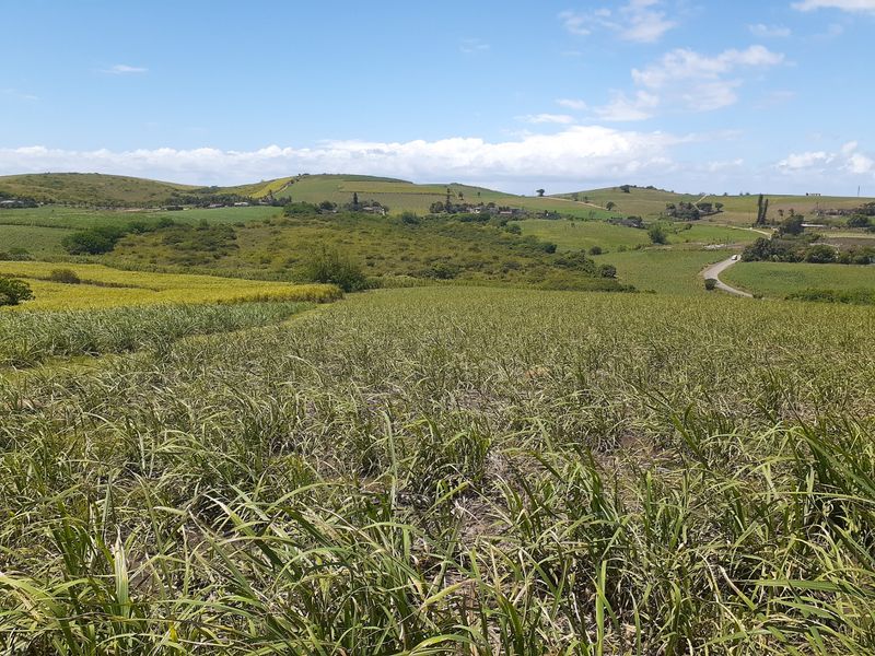 Farm For Sale in Fraser - Photo 4