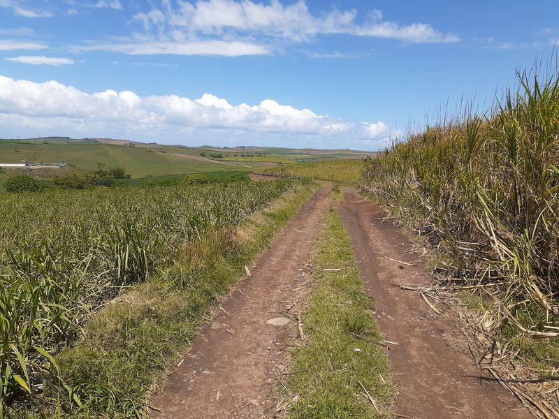Farm For Sale in Fraser - Photo 5