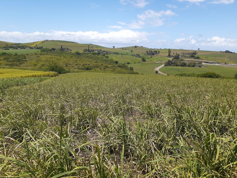 Farm For Sale in Fraser - Photo 6