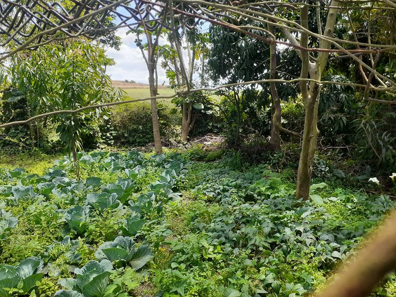 Farm For Sale in Fraser - Photo 4