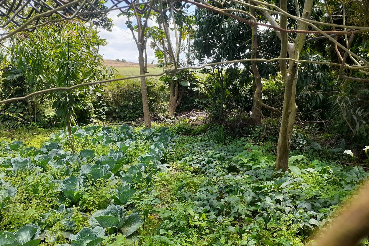 Farm For Sale in Fraser - Photo 4