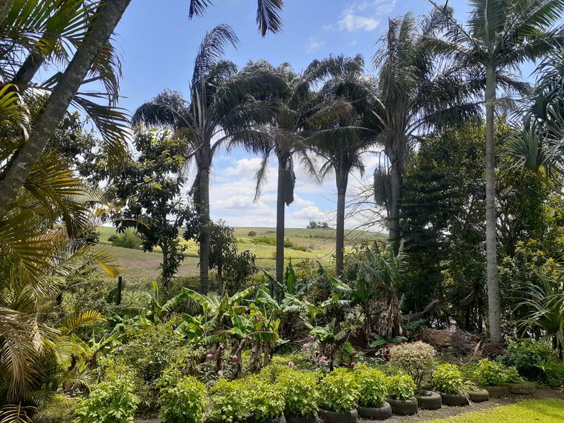 Farm For Sale in Fraser - Photo 6