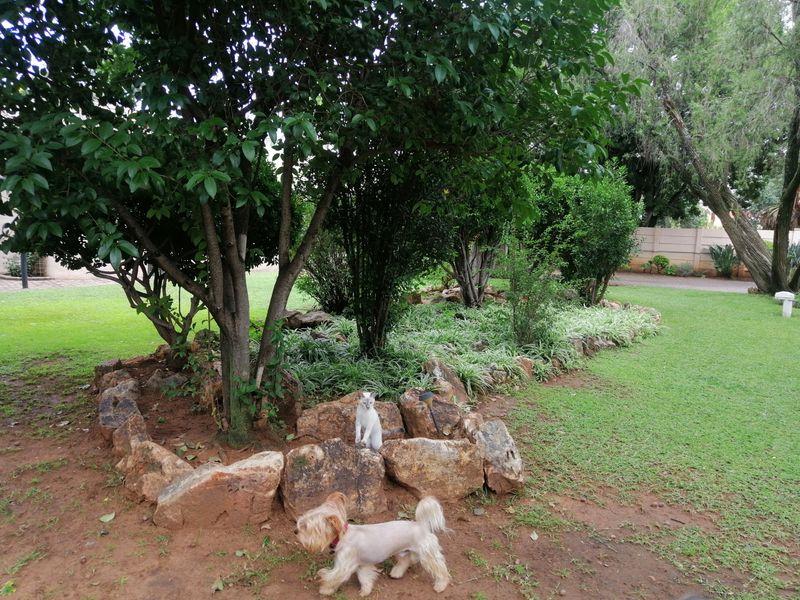 House For Sale in Lourenspark - Photo 10