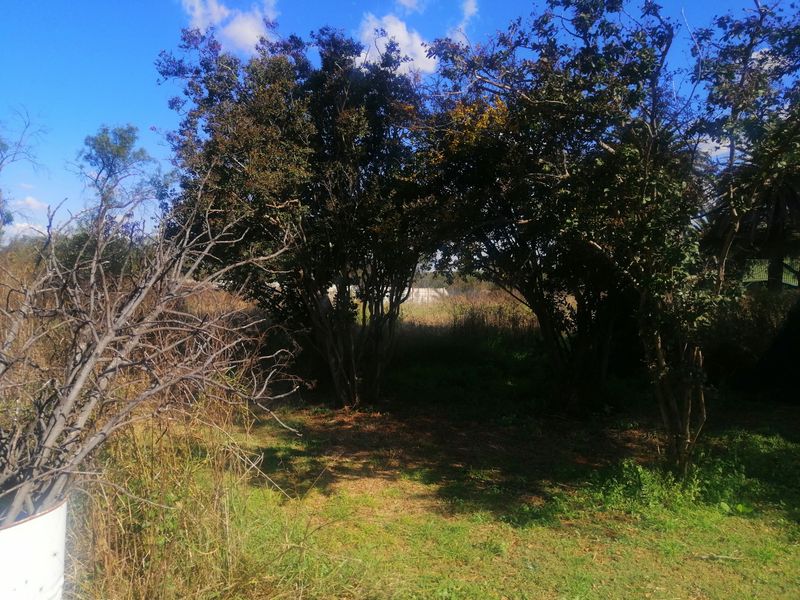 Vacant Land Residential For Sale in Orkney Central - Photo 4