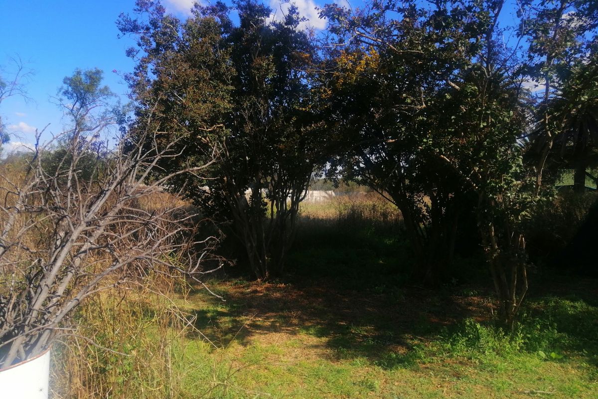 Vacant Land Residential For Sale in Orkney Central - Photo 4