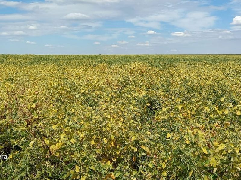 Farm For Sale in Makwassie Central - Photo 4