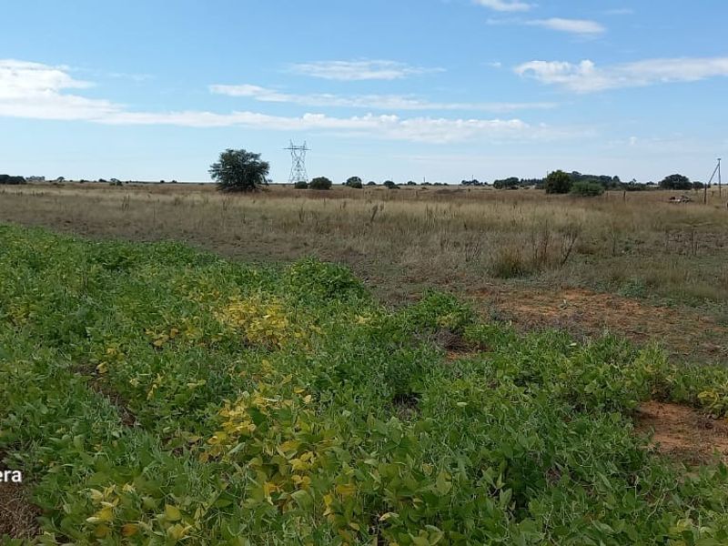 Farm For Sale in Makwassie Central - Photo 6