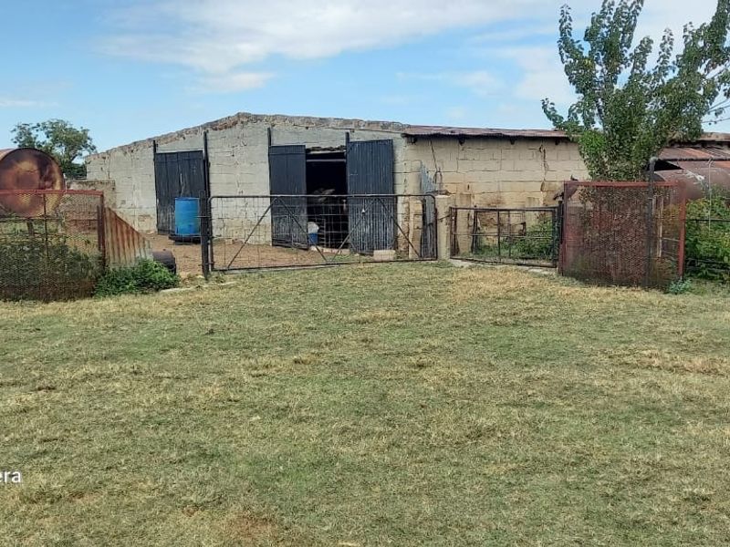 Farm For Sale in Makwassie Central - Photo 7