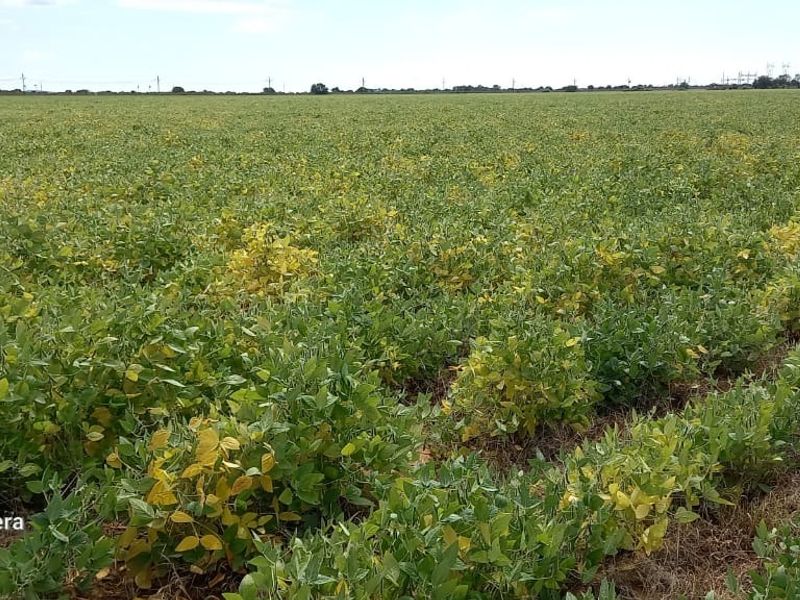 Farm For Sale in Makwassie Central - Photo 2