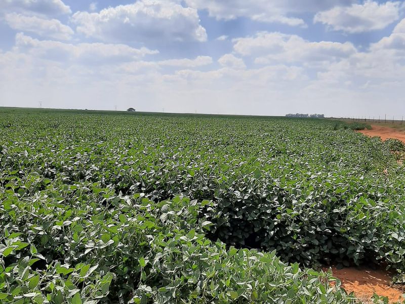 Farm For Sale in Makwassie Central - Photo 3