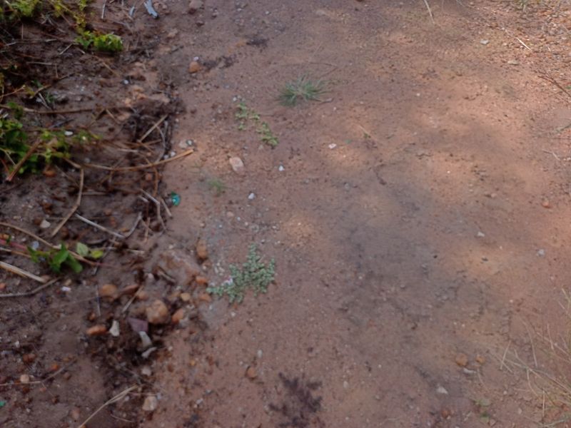 Vacant Land Residential For Sale in Bendor - Photo 5