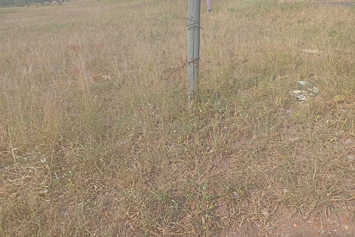 Vacant Land Residential For Sale in Bendor - Photo 4