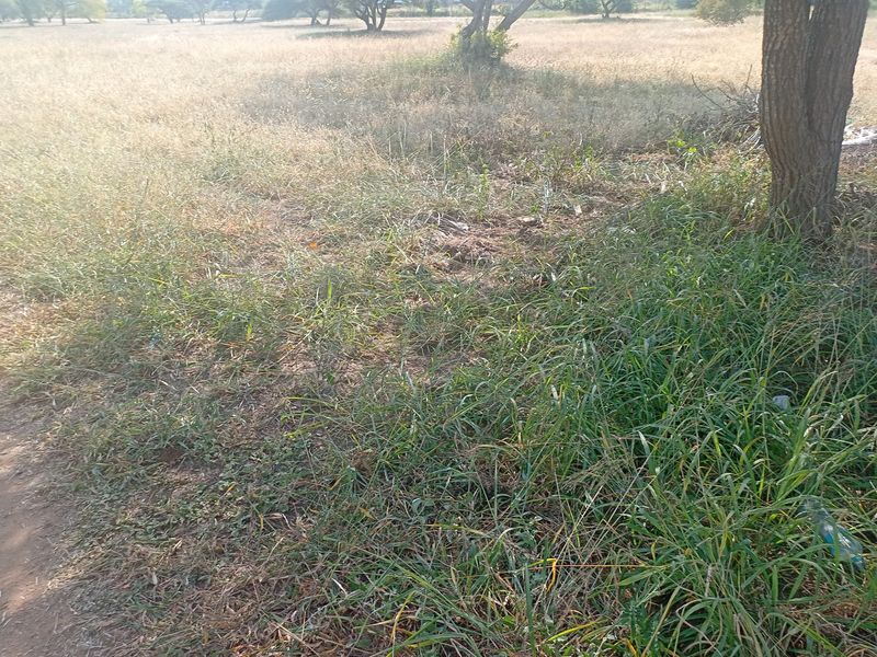 Vacant Land Residential For Sale in Bendor - Photo 3