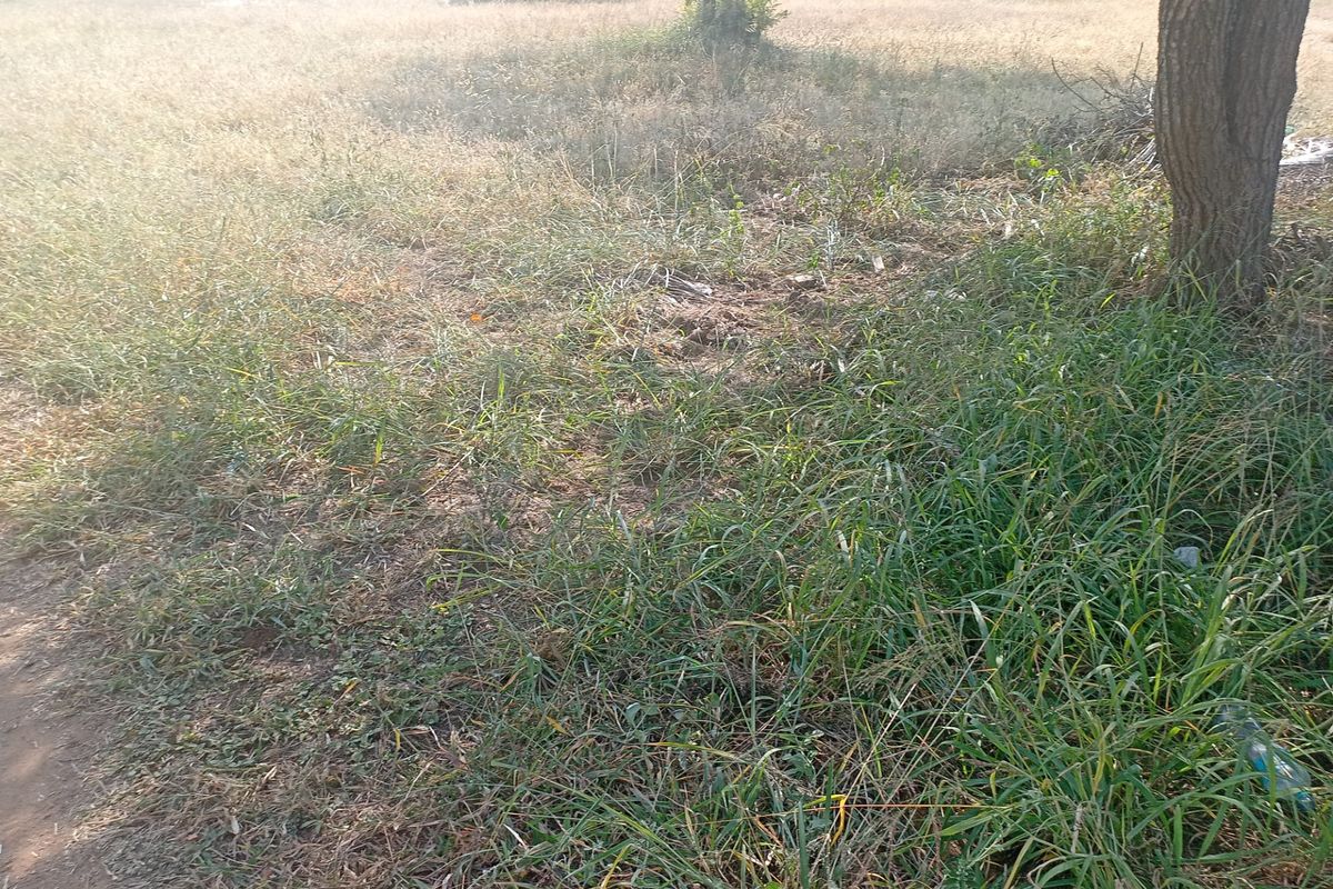 Vacant Land Residential For Sale in Bendor - Photo 3
