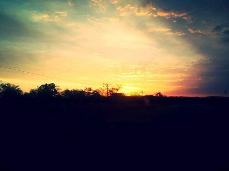 Farm For Sale in Rooiberg - Photo 5