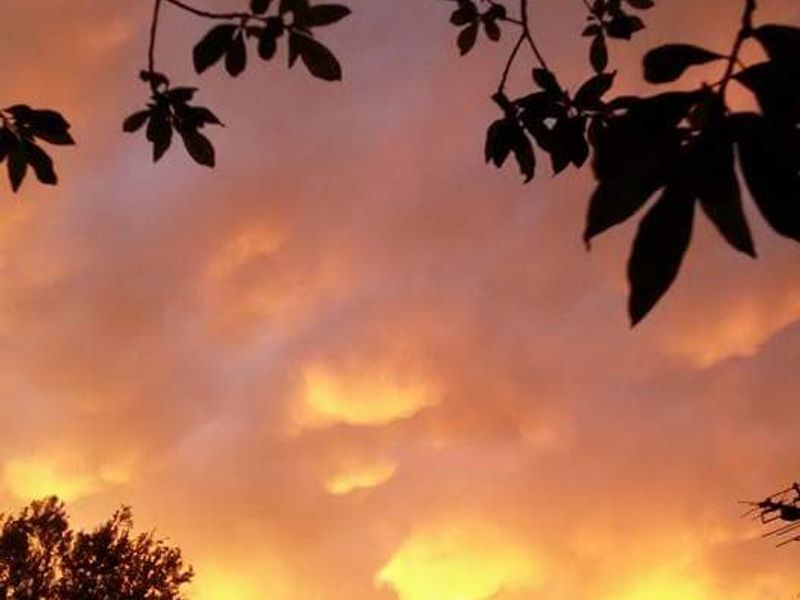 Farm For Sale in Rooiberg - Photo 4