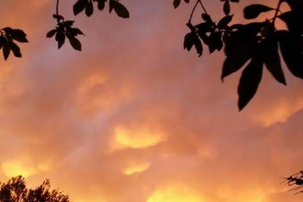 Farm For Sale in Rooiberg - Photo 4