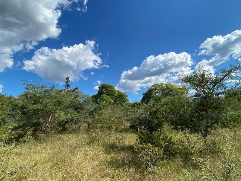 Farm For Sale in Rooiberg - Photo 2