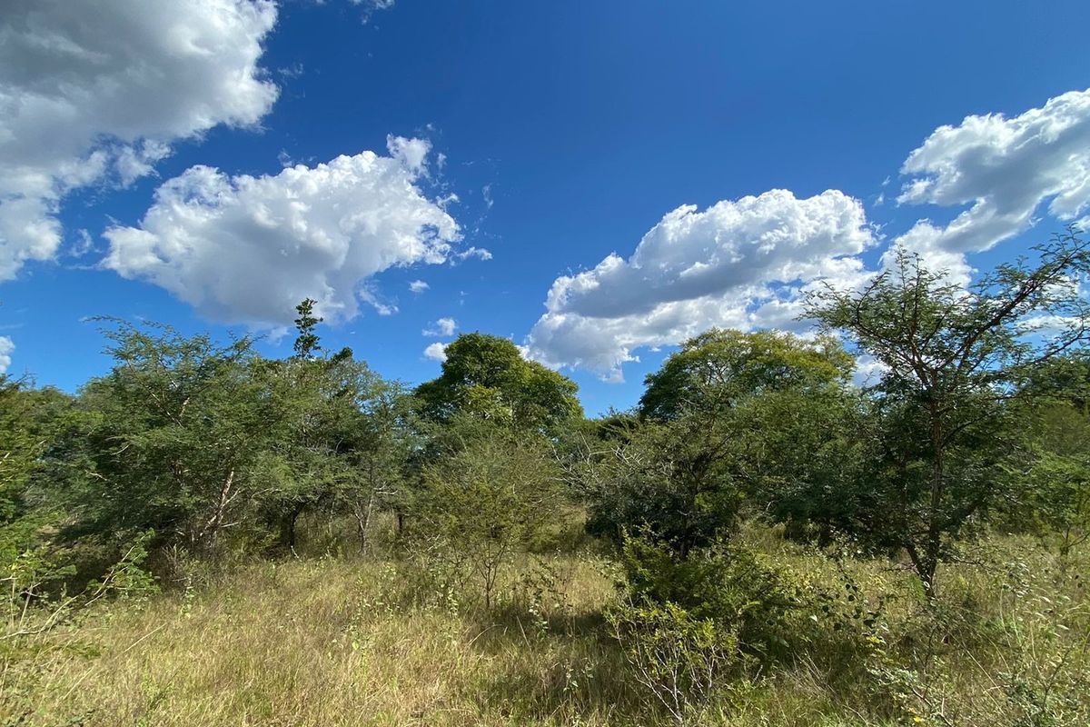 Farm For Sale in Rooiberg - Photo 2