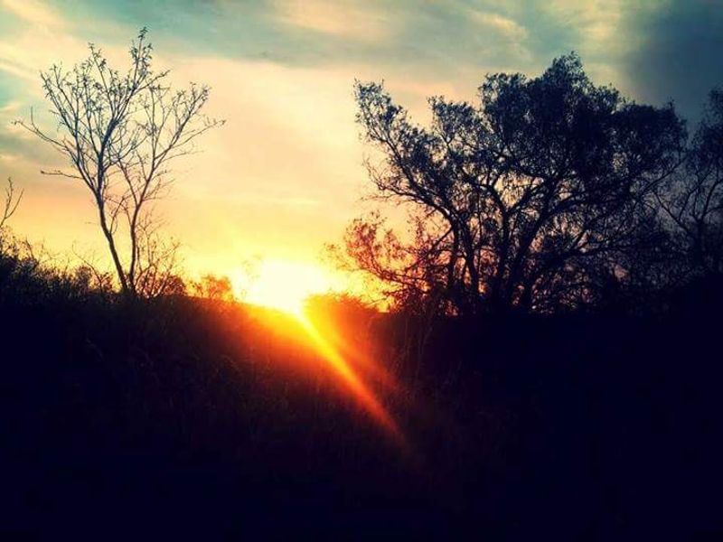 Vacant Land Residential For Sale in Rooiberg - Photo 3