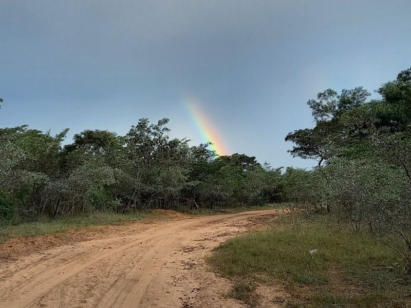 Vacant Land Residential For Sale in Rooiberg - Photo 2