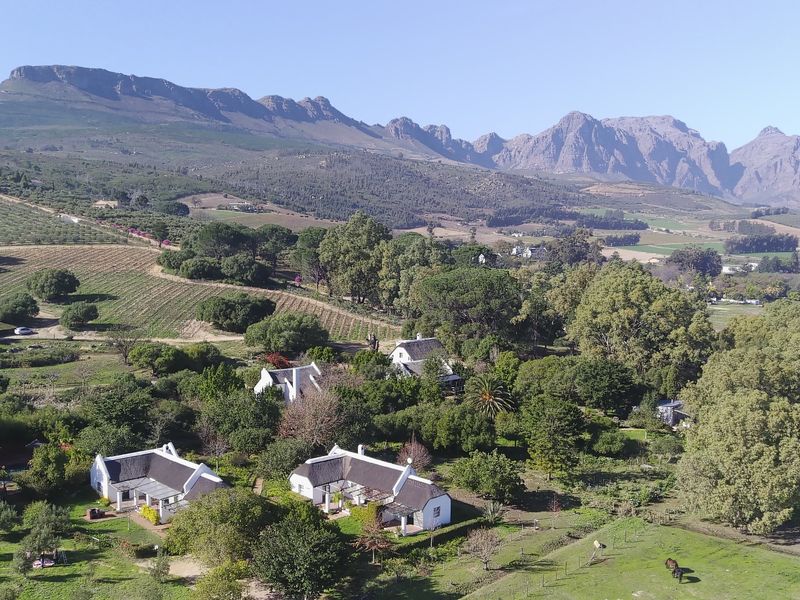 Farm For Sale in Paarl Rural - Photo 4