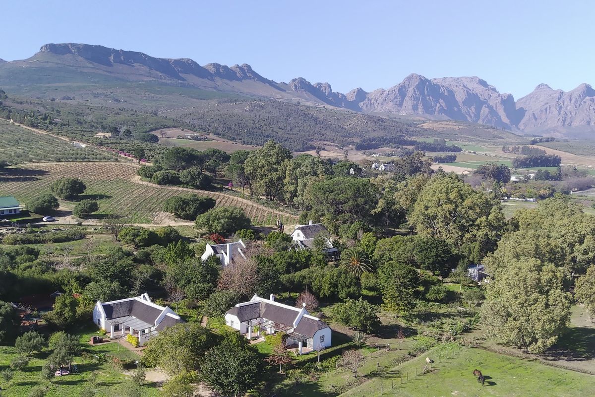 Farm For Sale in Paarl Rural - Photo 4