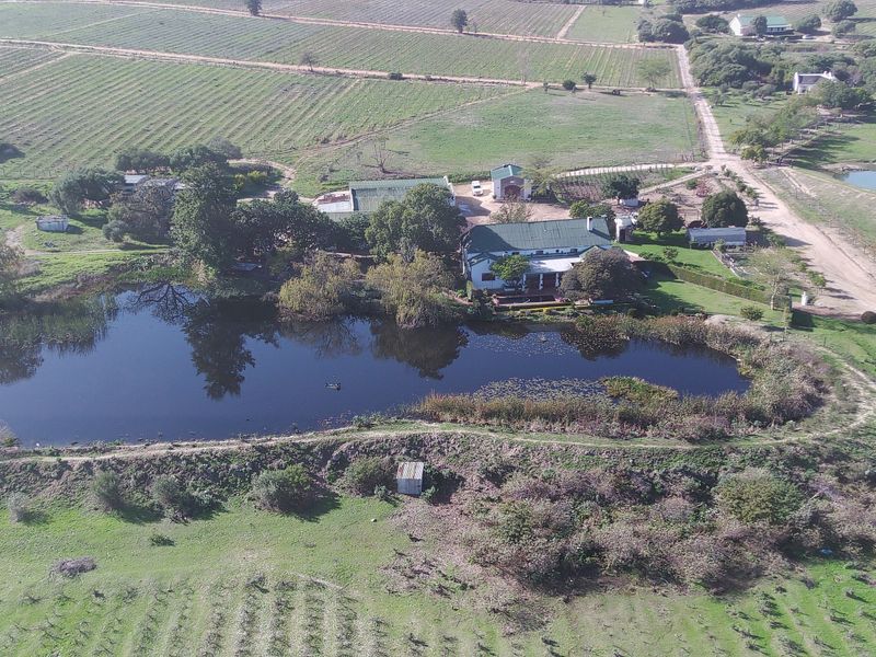 Farm For Sale in Paarl Rural - Photo 6