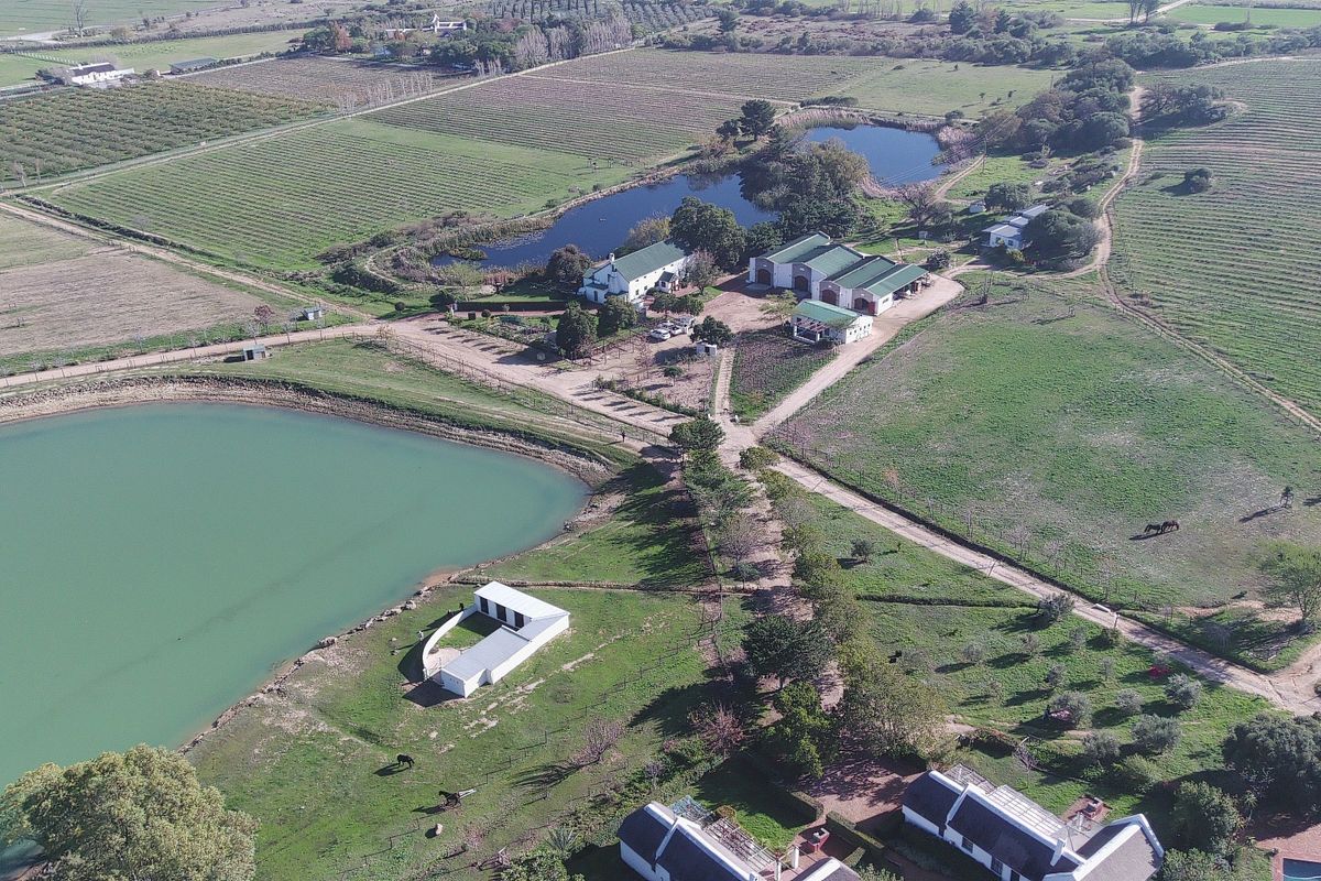Farm For Sale in Paarl Rural - Photo 5