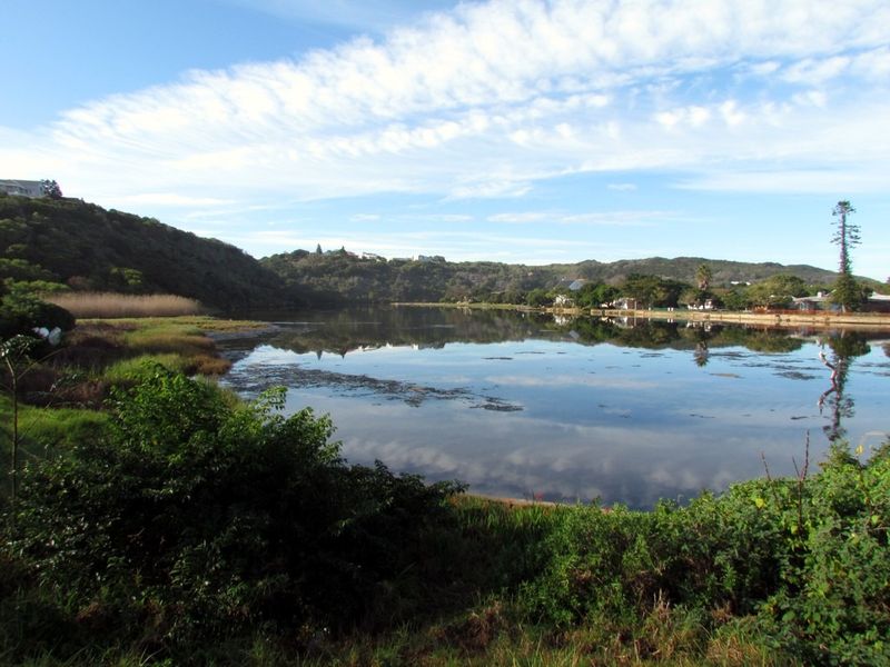 Vacant Land Residential For Sale in Island Cove - Photo 3