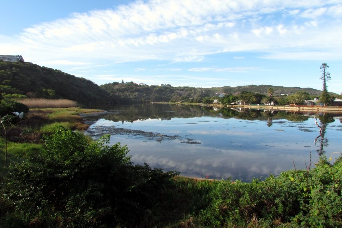 Vacant Land Residential For Sale in Island Cove - Photo 3